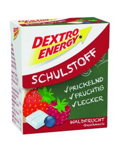 Kurzes MHD: DEXTRO ENERGY* Schulstoff Waldfrucht 50g