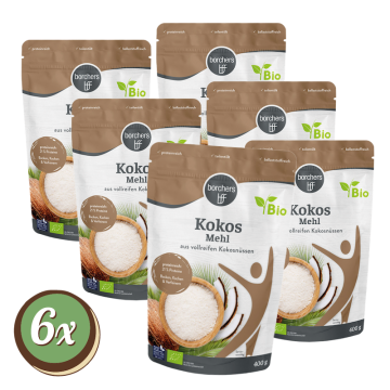 Multipack: 6x Borchers Bio Kokosmehl à 400g