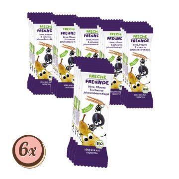 Multipack: 6x Freche Freunde Bio Birne, Pflaume, Joh. á 4x23g