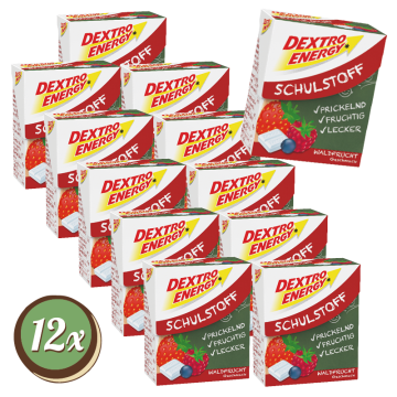 Multipack: 12x DEXTRO ENERGY* Schulstoff Waldfrucht á 50g