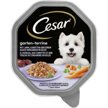 Cesar Garten-Terrine 150g